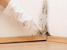 Reliable Lansdale, PA Mold Prevention & Removal  Solutions